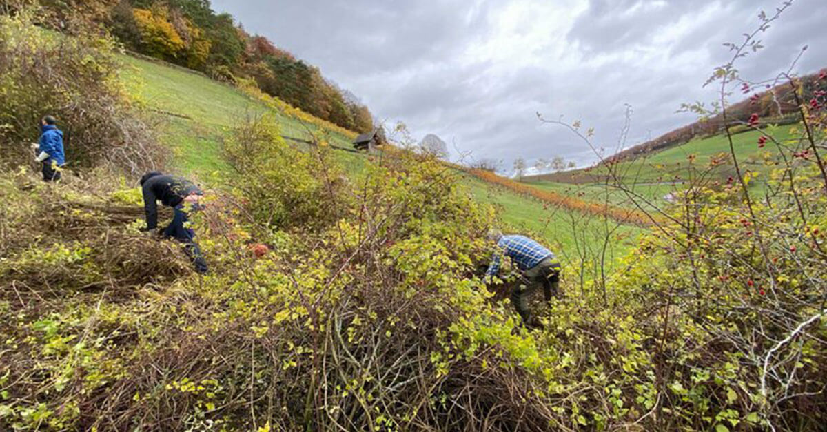 img-web-blog-pledge-1-unser-einsatz-jurapark-aargau-team-schneidet-hecken-col